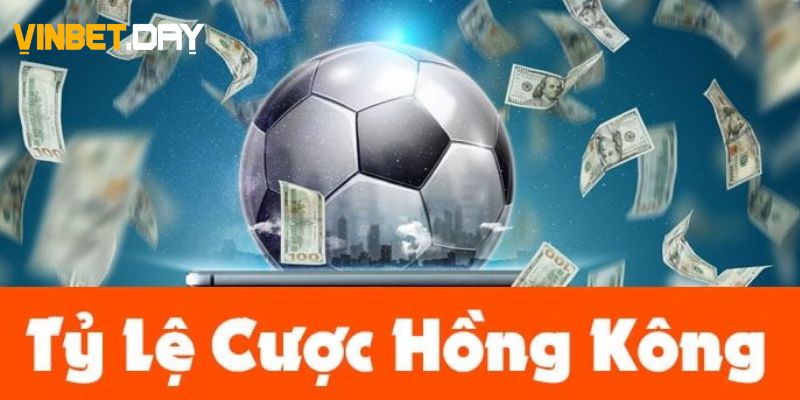 Các loại kèo odds là gì phổ biến 