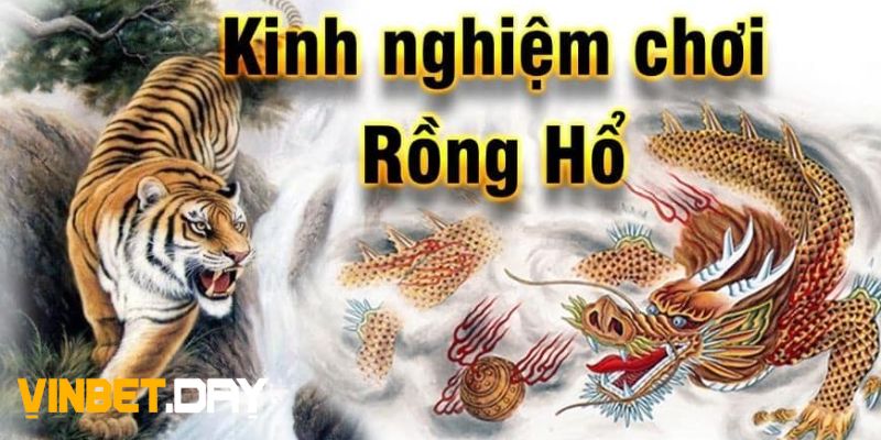 Cách chơi rồng hổ luôn thắng dành cho tân binh