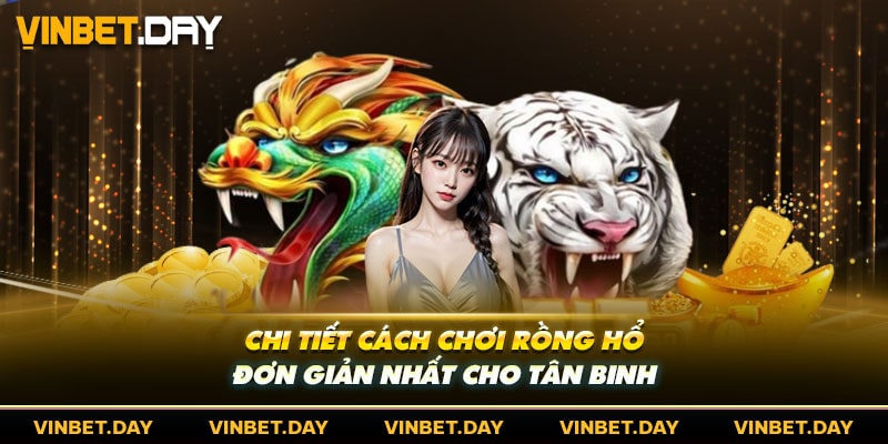 Chi Tiết Cách Chơi Rồng Hổ Đơn Giản Nhất Cho Tân Binh