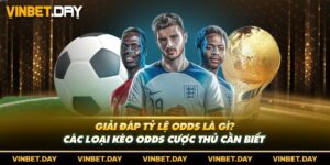 Giải Đáp Tỷ Lệ Odds Là Gì? Các Loại Kèo Odds Cược Thủ Cần Biết