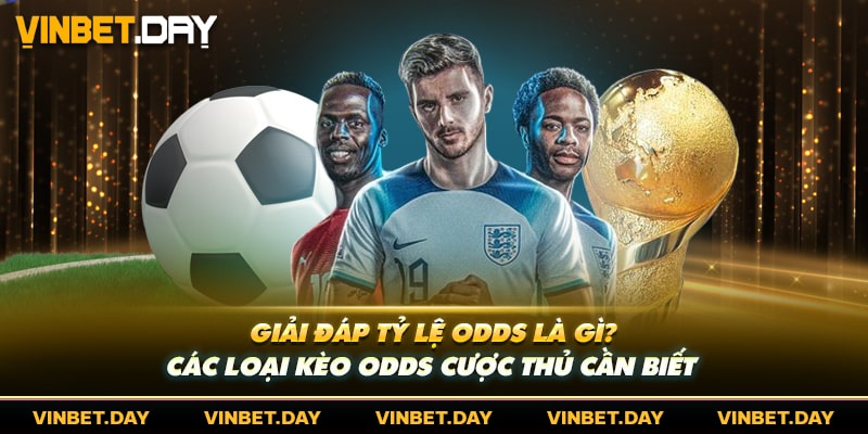 Giải Đáp Tỷ Lệ Odds Là Gì? Các Loại Kèo Odds Cược Thủ Cần Biết