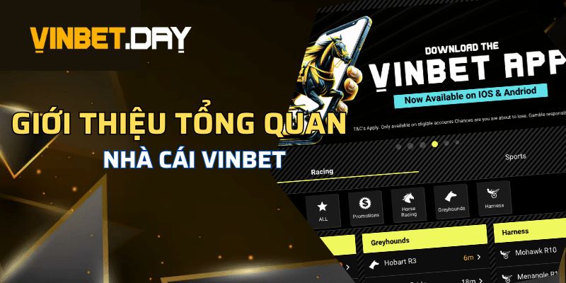 Giới thiệu Vinbet - Địa điểm giải trí hàng đầu thị trường châu Á