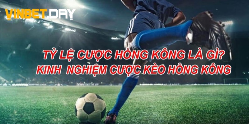 Hướng dẫn cách đọc tỷ lệ kèo hong kong chi tiết